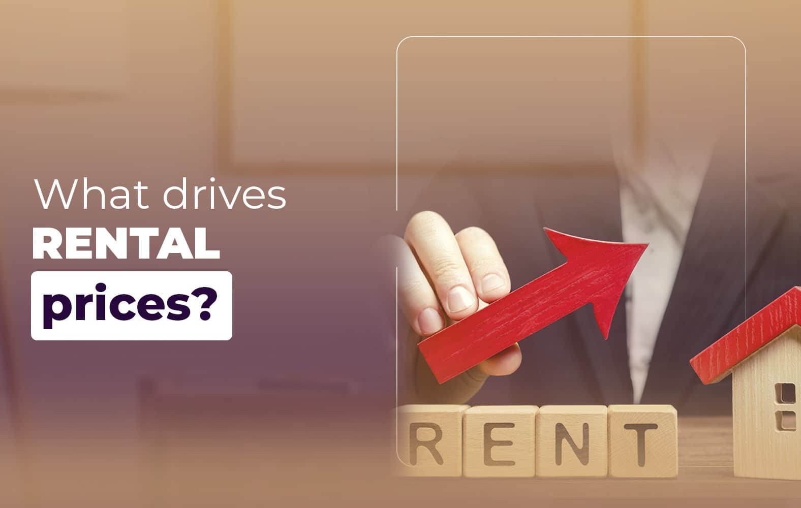 Today we show you what drives rental prices